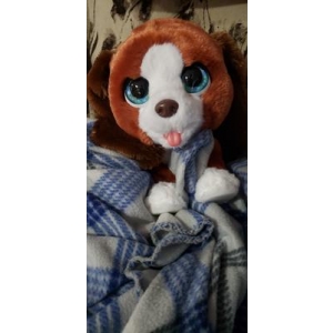 FurReal Howlin?? Howie Interactive Plush Pet Toy E4649 photo review